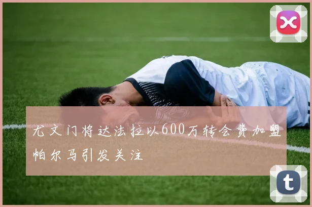 尤文门将达法拉以600万转会费加盟帕尔马引发关注